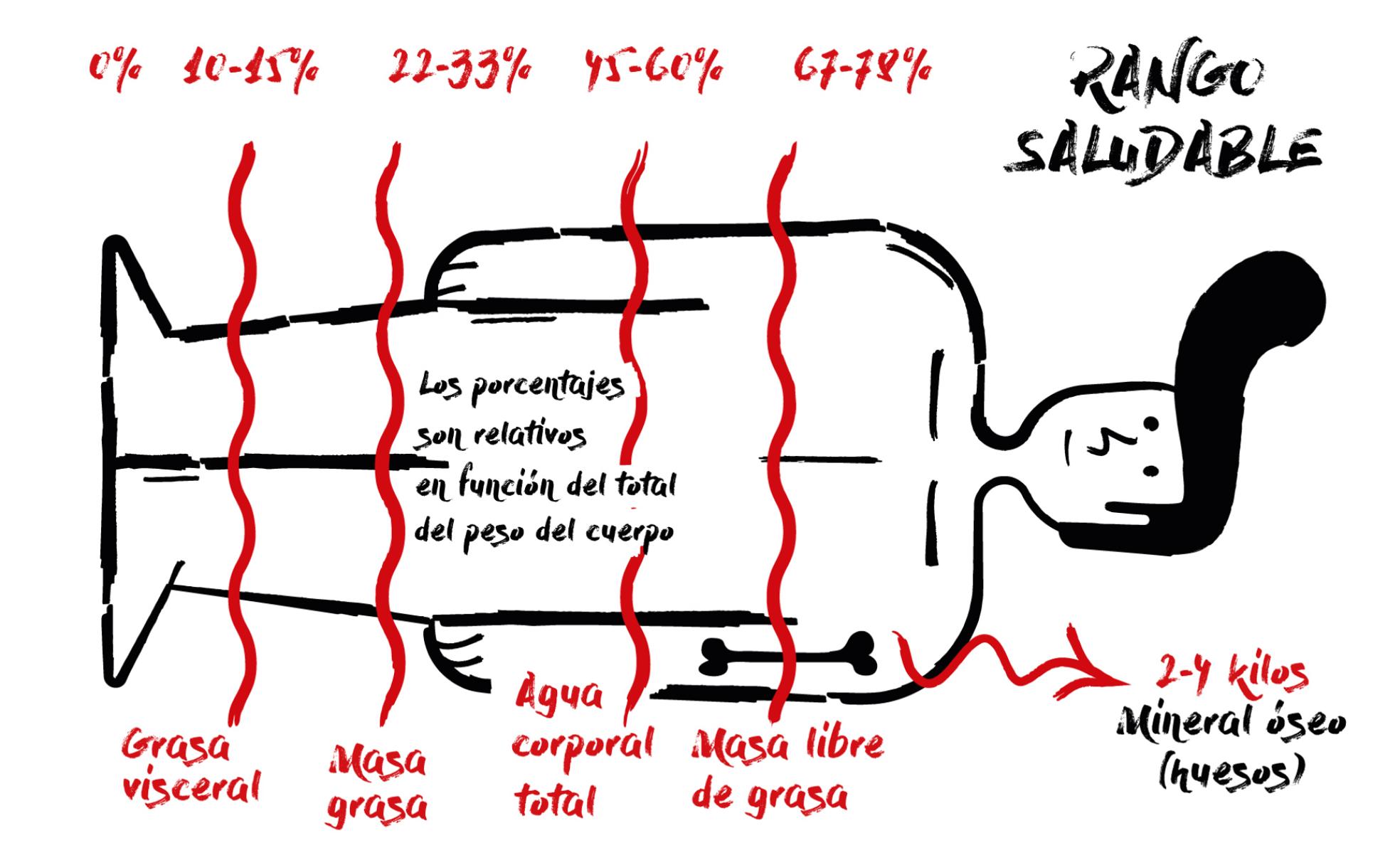 ¿Se puede adelgazar sin perder peso?