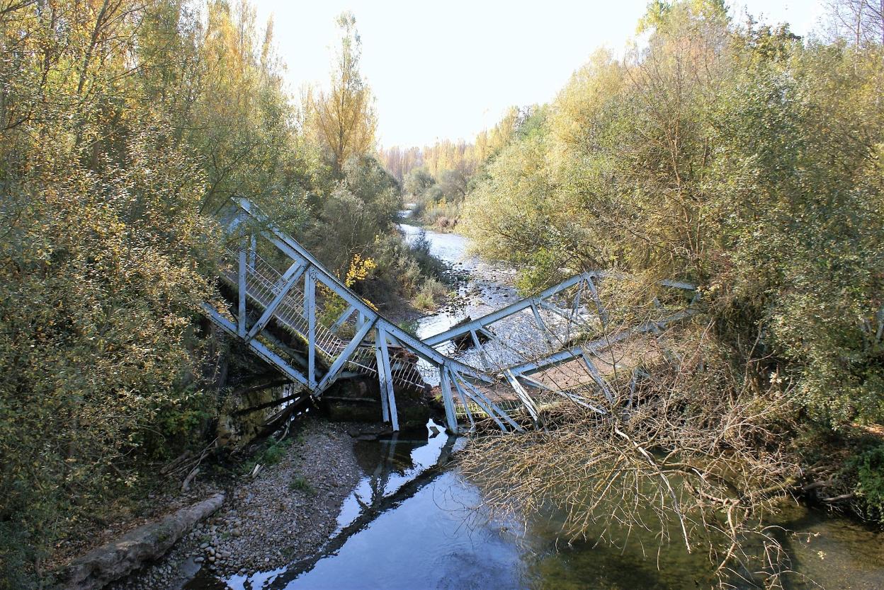 Imagen del puente. 