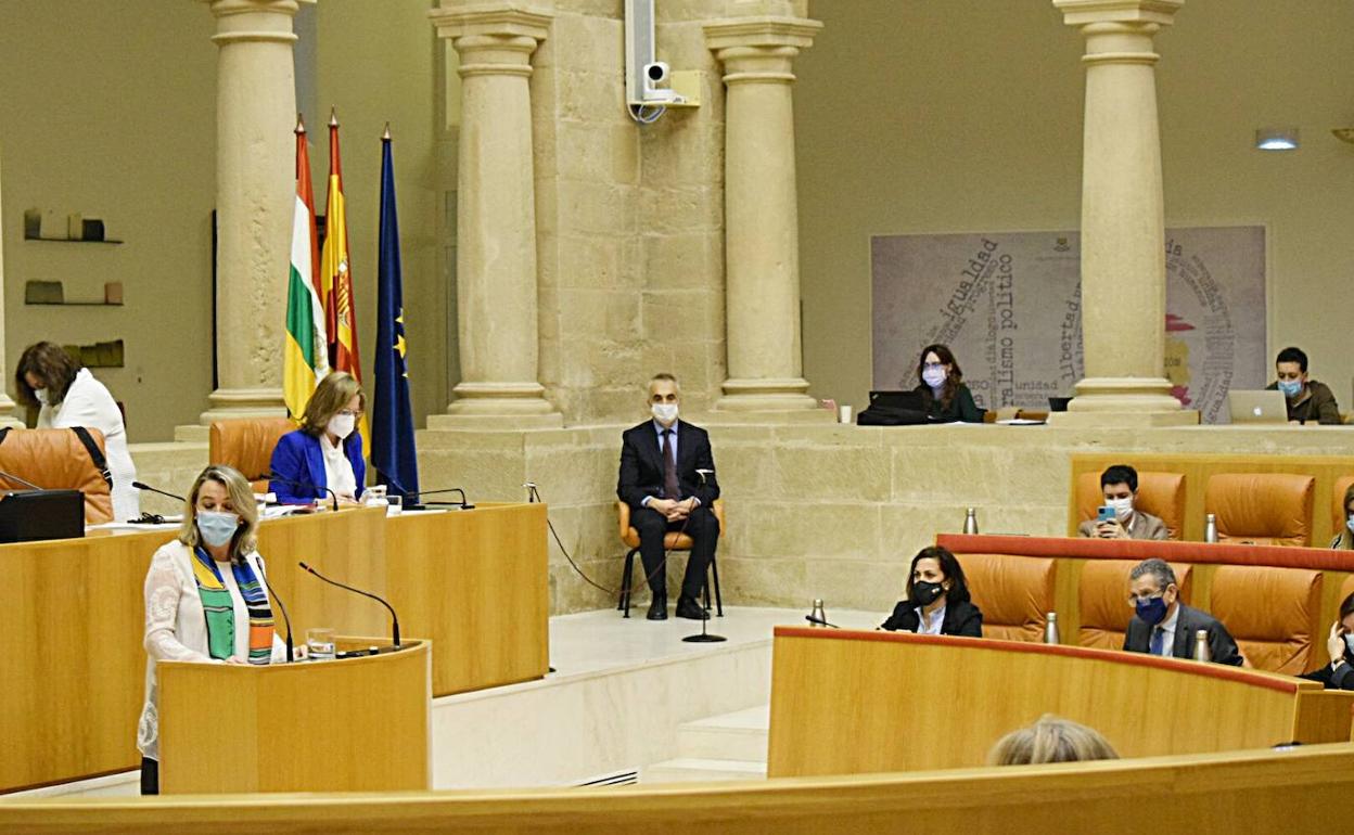 Eva Hita, durante su intervención en el Pleno.