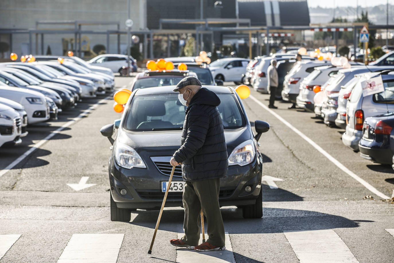 La marcha se ha iniciado pasadas las once de la mañana de este domingo y ha transitado por varias calles de la capital riojana