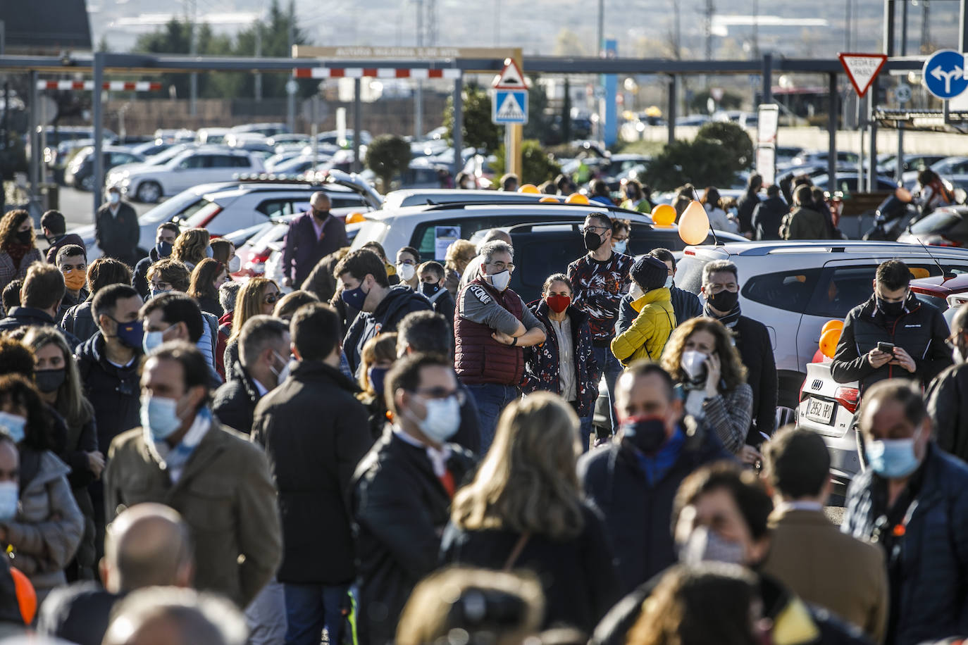 La marcha se ha iniciado pasadas las once de la mañana de este domingo y ha transitado por varias calles de la capital riojana