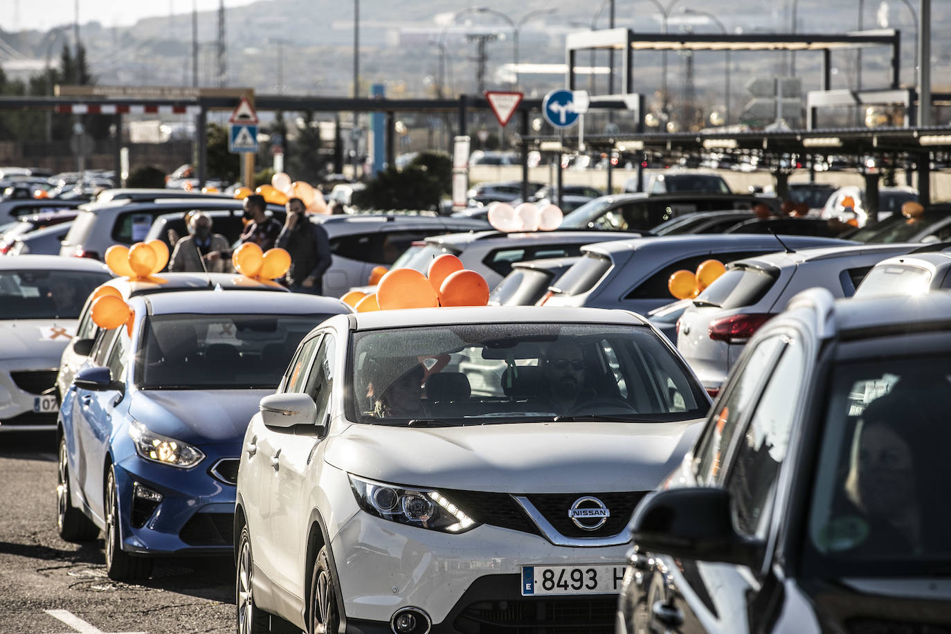 La marcha se ha iniciado pasadas las once de la mañana de este domingo y ha transitado por varias calles de la capital riojana