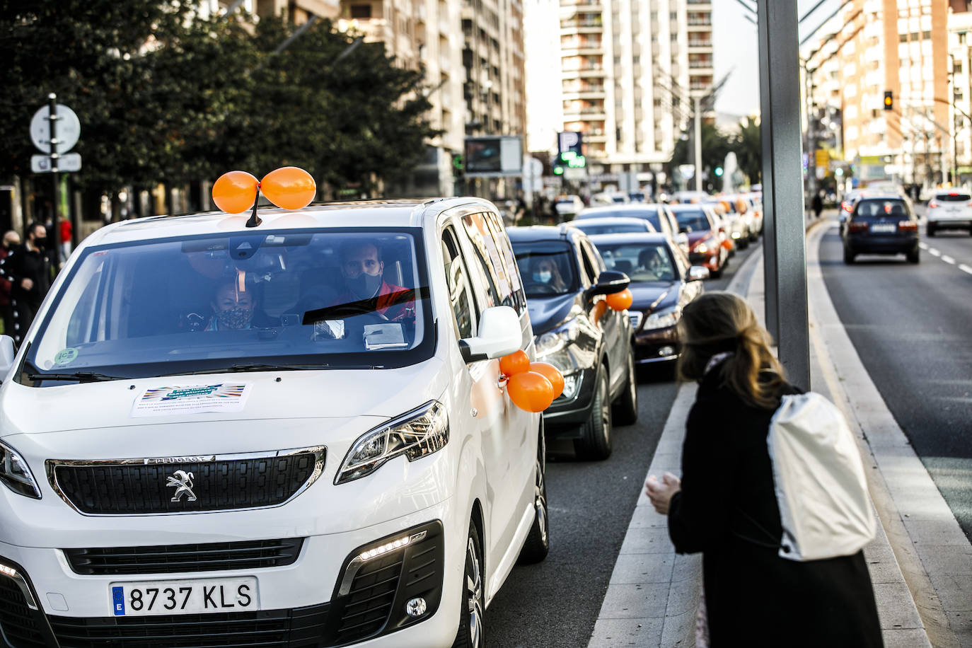 La marcha se ha iniciado pasadas las once de la mañana de este domingo y ha transitado por varias calles de la capital riojana