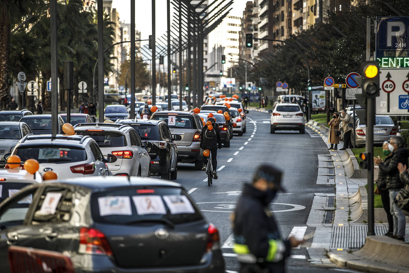 La marcha se ha iniciado pasadas las once de la mañana de este domingo y ha transitado por varias calles de la capital riojana