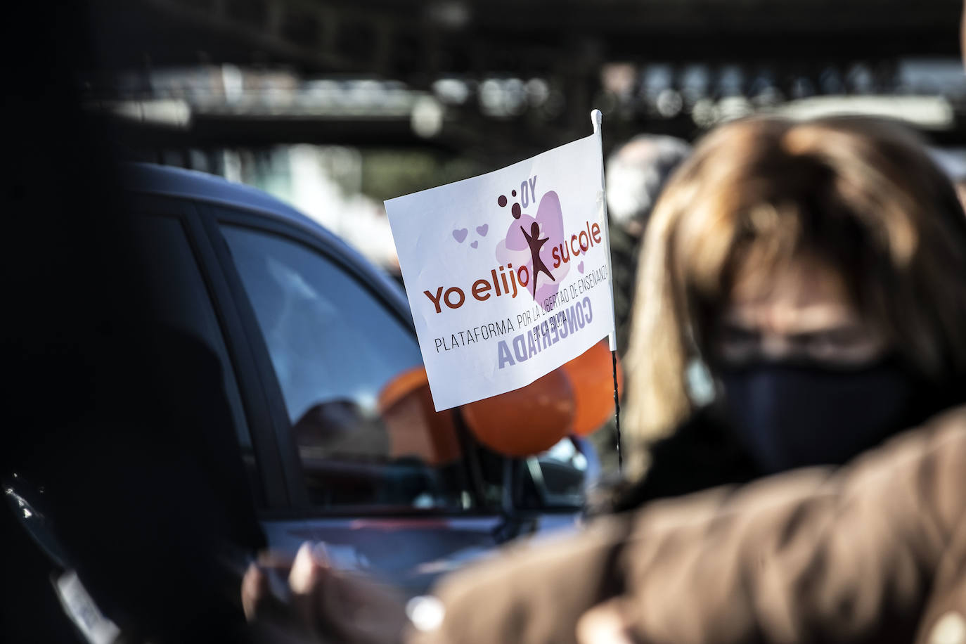 La marcha se ha iniciado pasadas las once de la mañana de este domingo y ha transitado por varias calles de la capital riojana