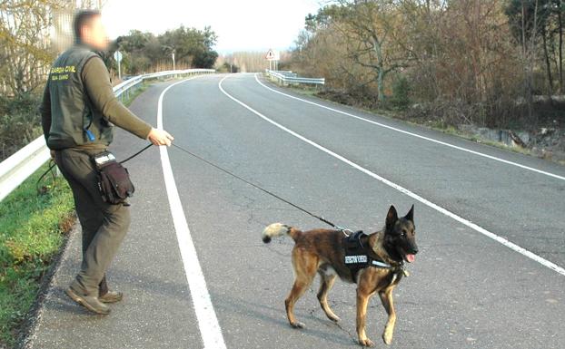 Imagen principal - ¿Qué fue del envenenador de perros?