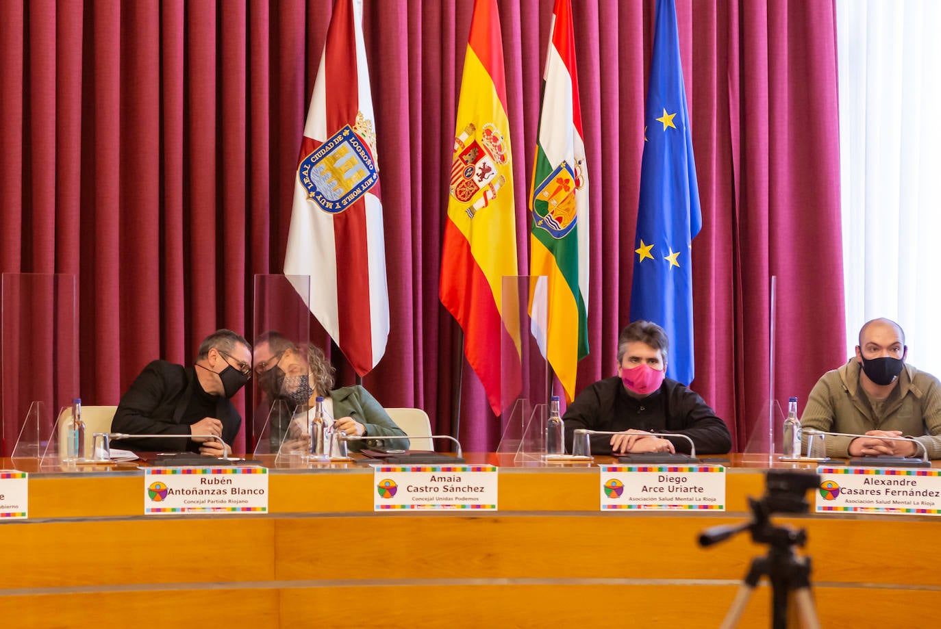 Celebración del pleno con motivo del Día de la Discapacidad.