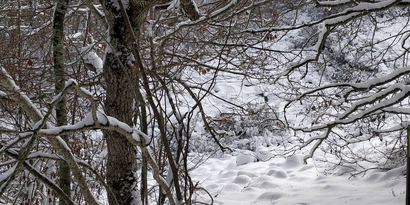 Están al nordeste de la cumbre y la nieve se acumula ahí a causa del viento