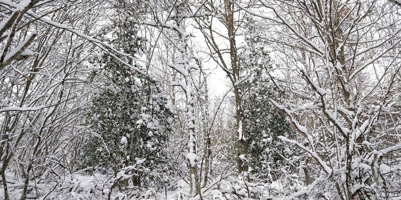 Están al nordeste de la cumbre y la nieve se acumula ahí a causa del viento