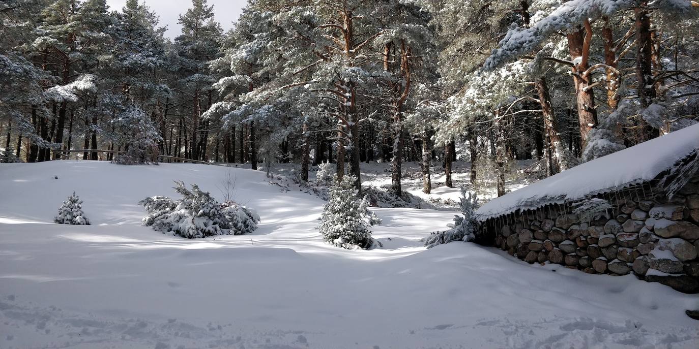 Están al nordeste de la cumbre y la nieve se acumula ahí a causa del viento