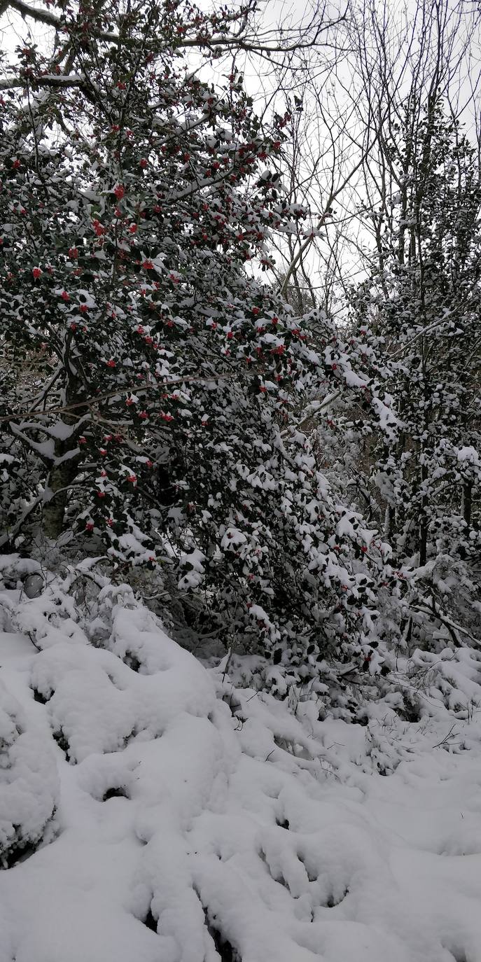 Están al nordeste de la cumbre y la nieve se acumula ahí a causa del viento