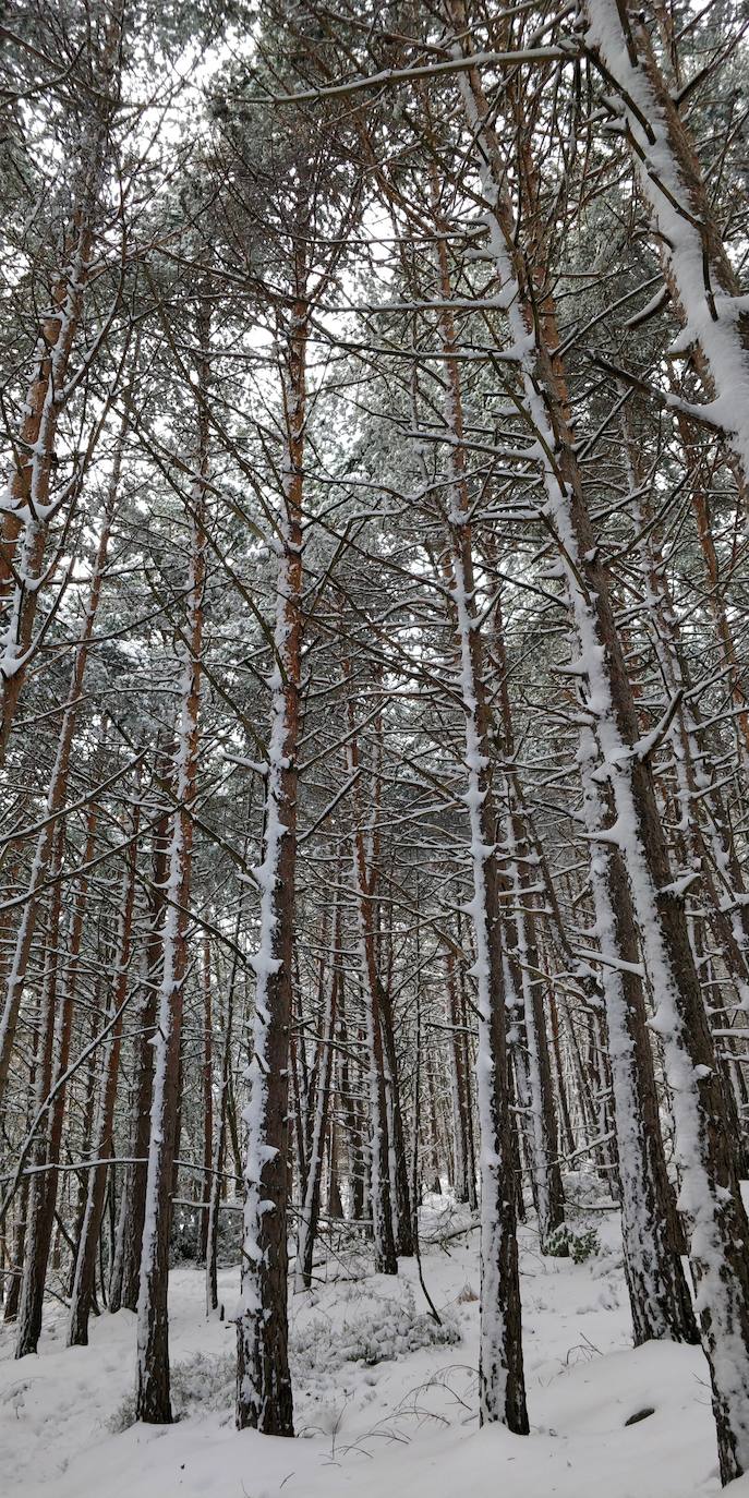 Están al nordeste de la cumbre y la nieve se acumula ahí a causa del viento