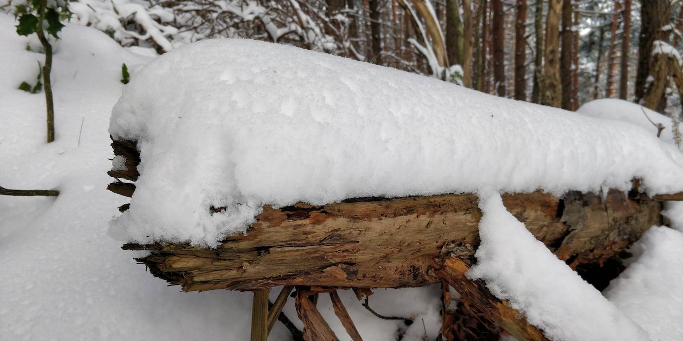 Están al nordeste de la cumbre y la nieve se acumula ahí a causa del viento