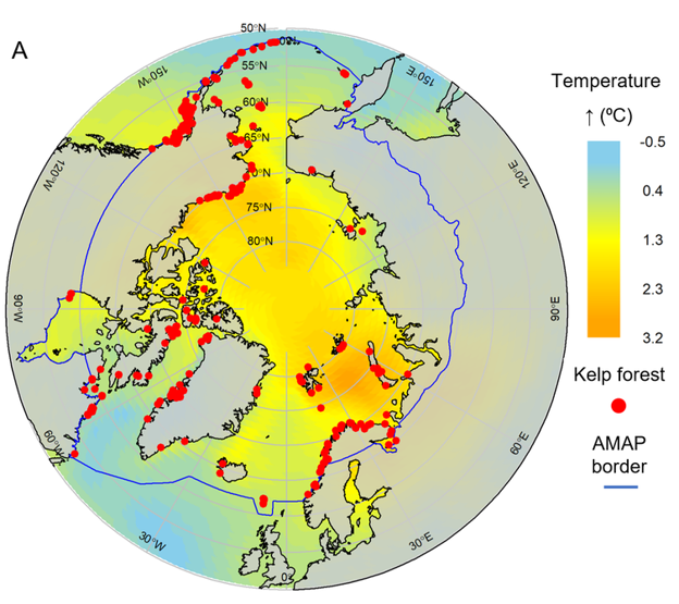 Localizaciones conocidas de bosques de kelp y tendencias globales sobre la predicción del incremento de la temperatura media de la superficie de los océanos en las próximas dos décadas, según los modelos del IPPC. 