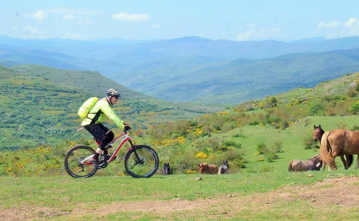 Ciclista recorriendo los Cameros