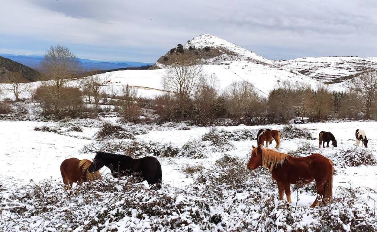 Nevada de la mañana del domingo en Pazuengos. 