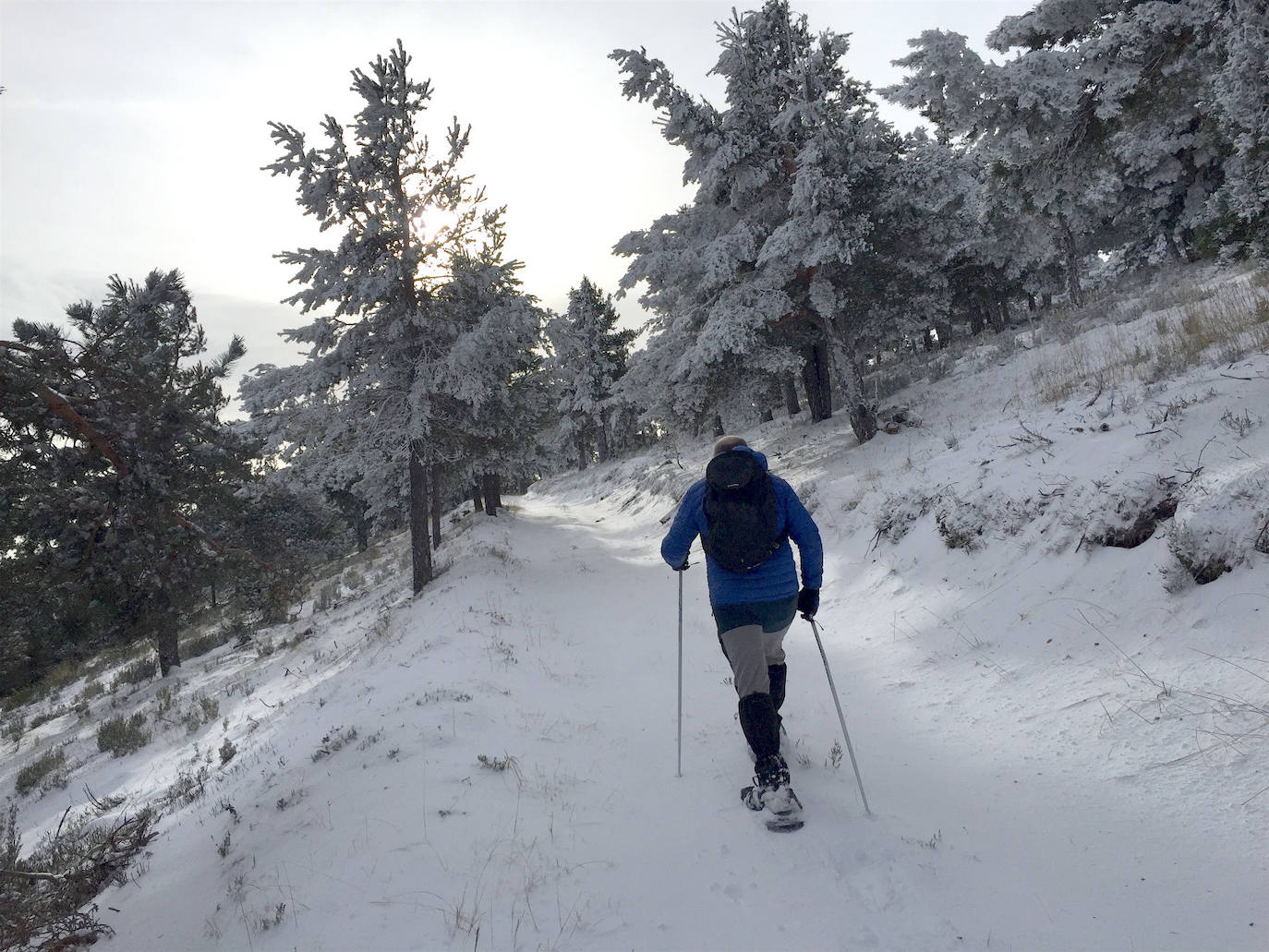 Fotos: La nieve cubre el monte de la Agenzana, en El Rasillo