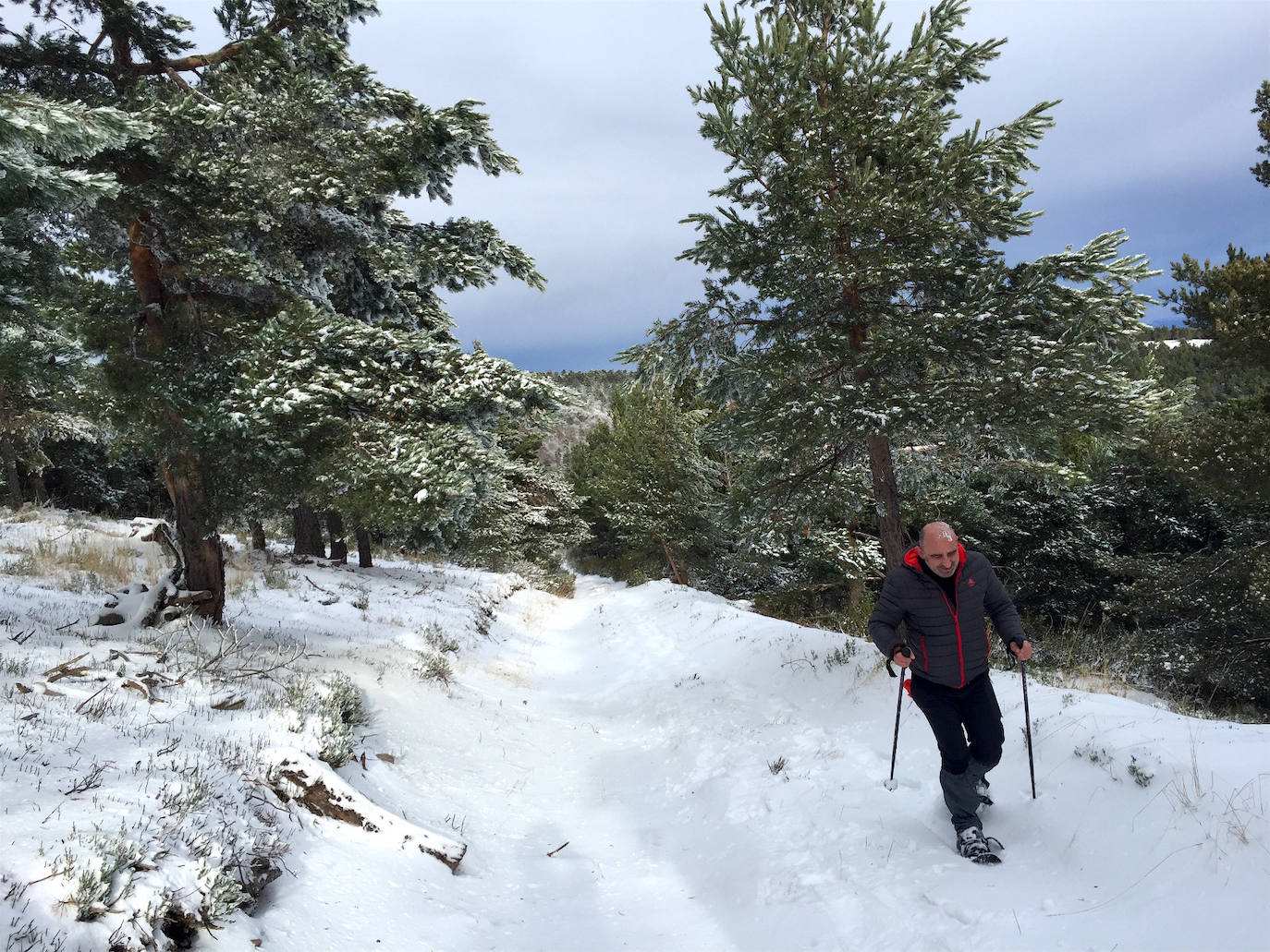 Fotos: La nieve cubre el monte de la Agenzana, en El Rasillo