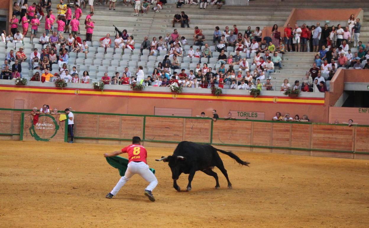 El PP defiende la amplitud del Arnedo Arena para acoger actos. 