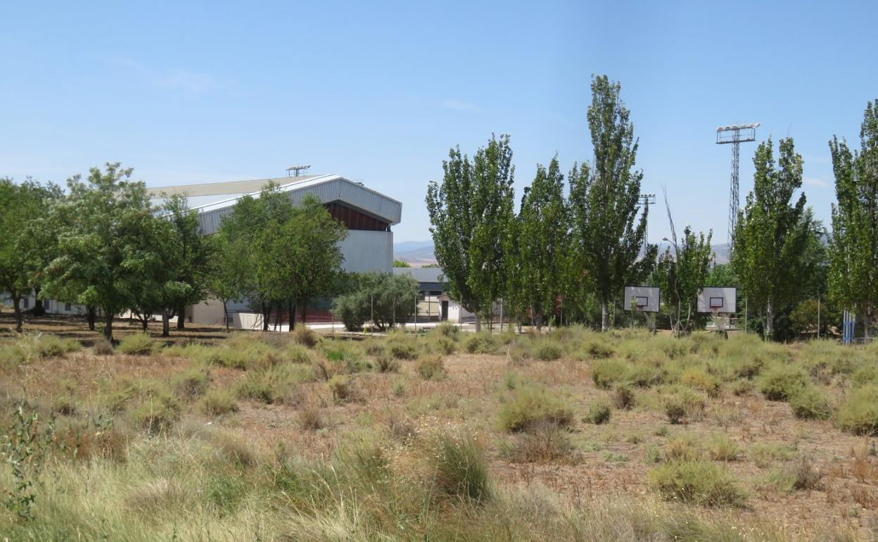 Parcela en la que se acondicionará la pista de 'pump track'. 