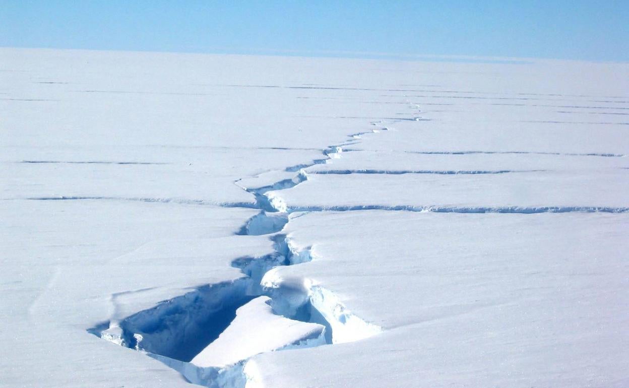 Emergencia climática