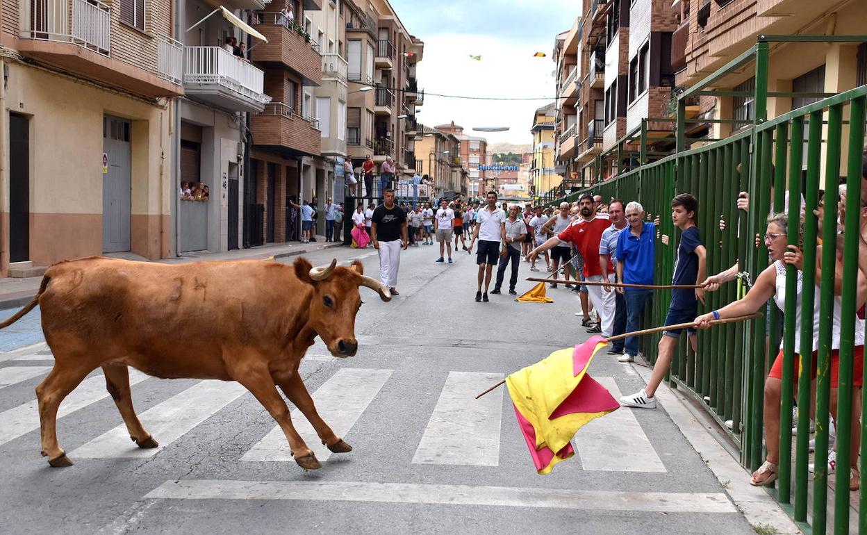 Quel inicia hoy sus fiestas del Pan y Queso con música, pañuelos, vacas y fuegos artificiales