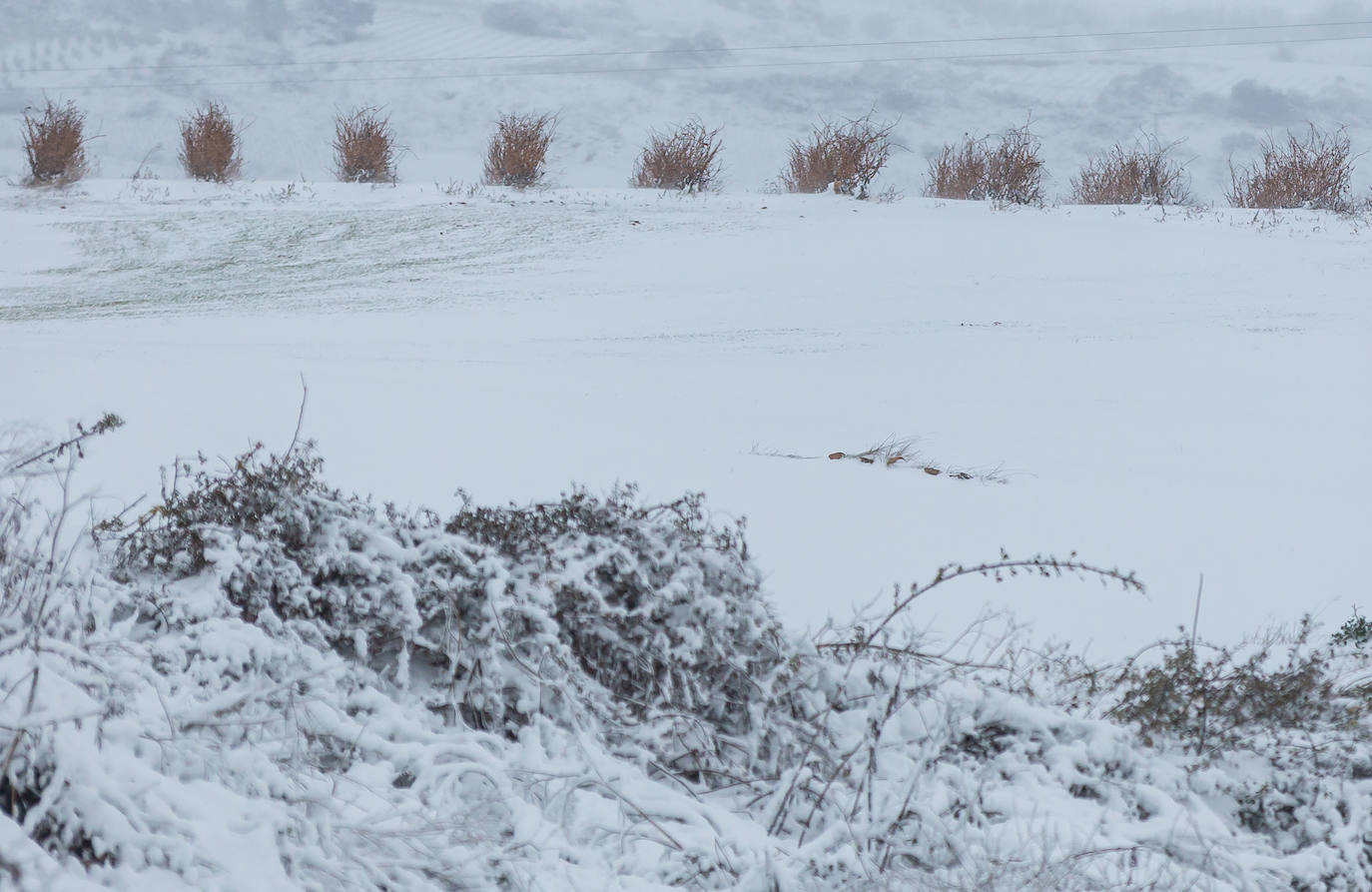 Municipios como Uruñuela, Najera, Sotés, Ventosa o Navarrete han recibido a la nieve en este 2 de enero