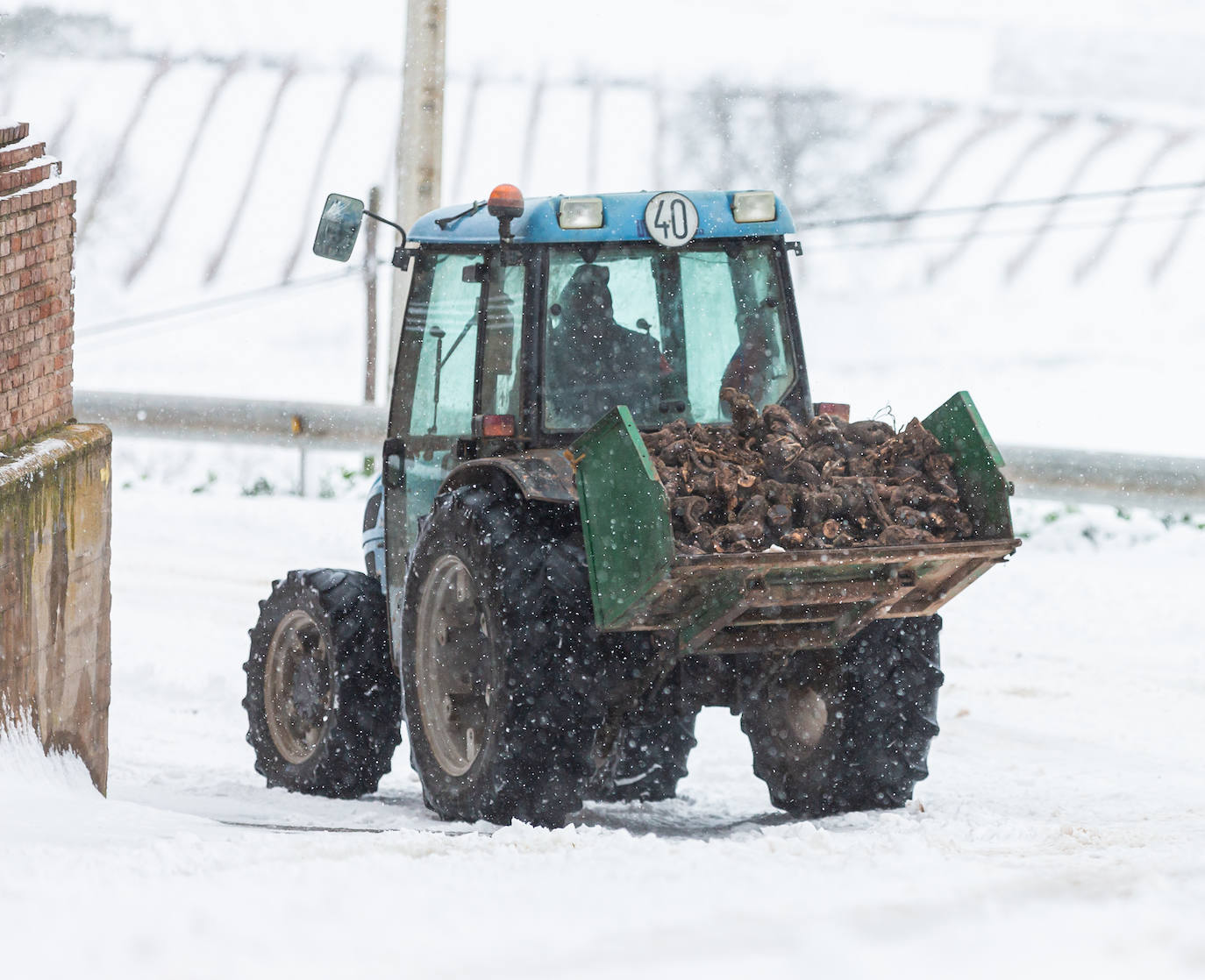 Municipios como Uruñuela, Najera, Sotés, Ventosa o Navarrete han recibido a la nieve en este 2 de enero