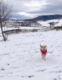Imagen secundaria 2 - La Rioja se mantiene en alerta en pleno aviso por bajas temperaturas y nuevas nevadas