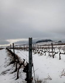 Imagen secundaria 2 - La Rioja se mantiene en alerta en pleno aviso por bajas temperaturas y nuevas nevadas