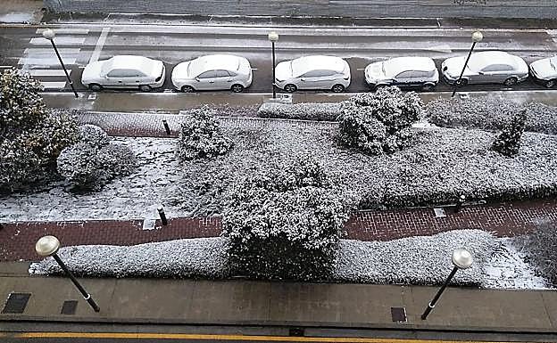 Los coches de Arnedo, cubiertos de nieve 