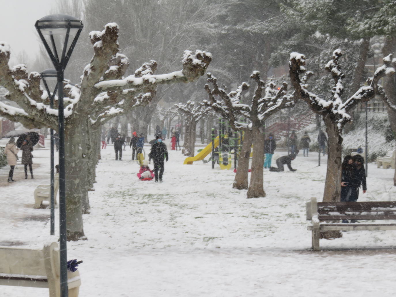 Fotos: Nevada en Alfaro