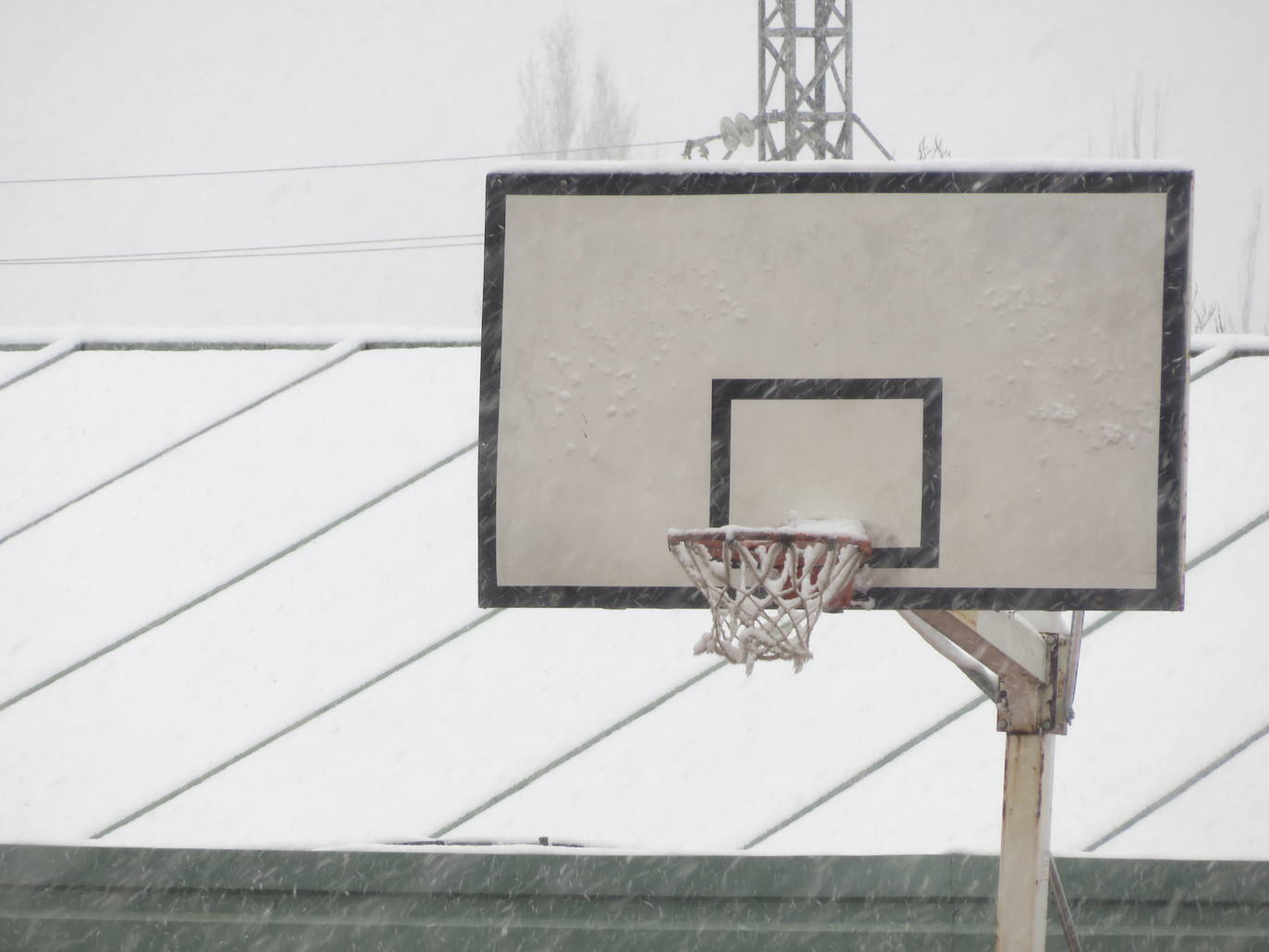 Fotos: Nevada en Alfaro