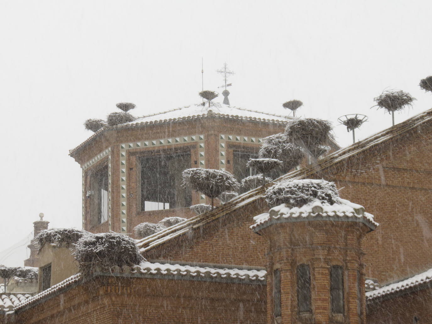 Fotos: Nevada en Alfaro