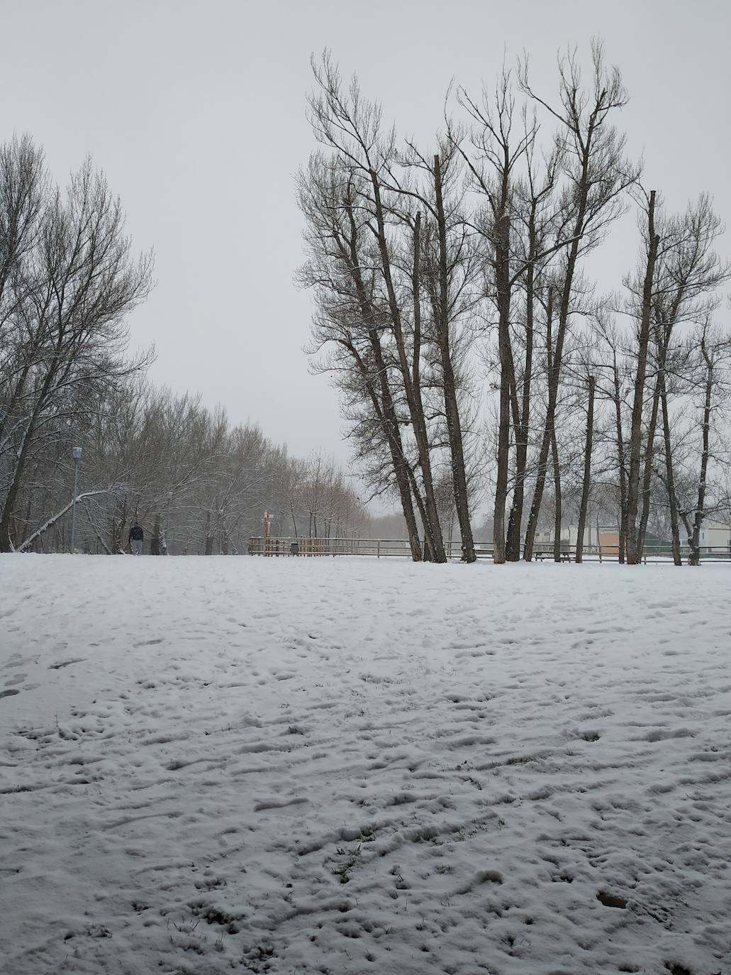 Fotos: La nieve también llega a Arnedo