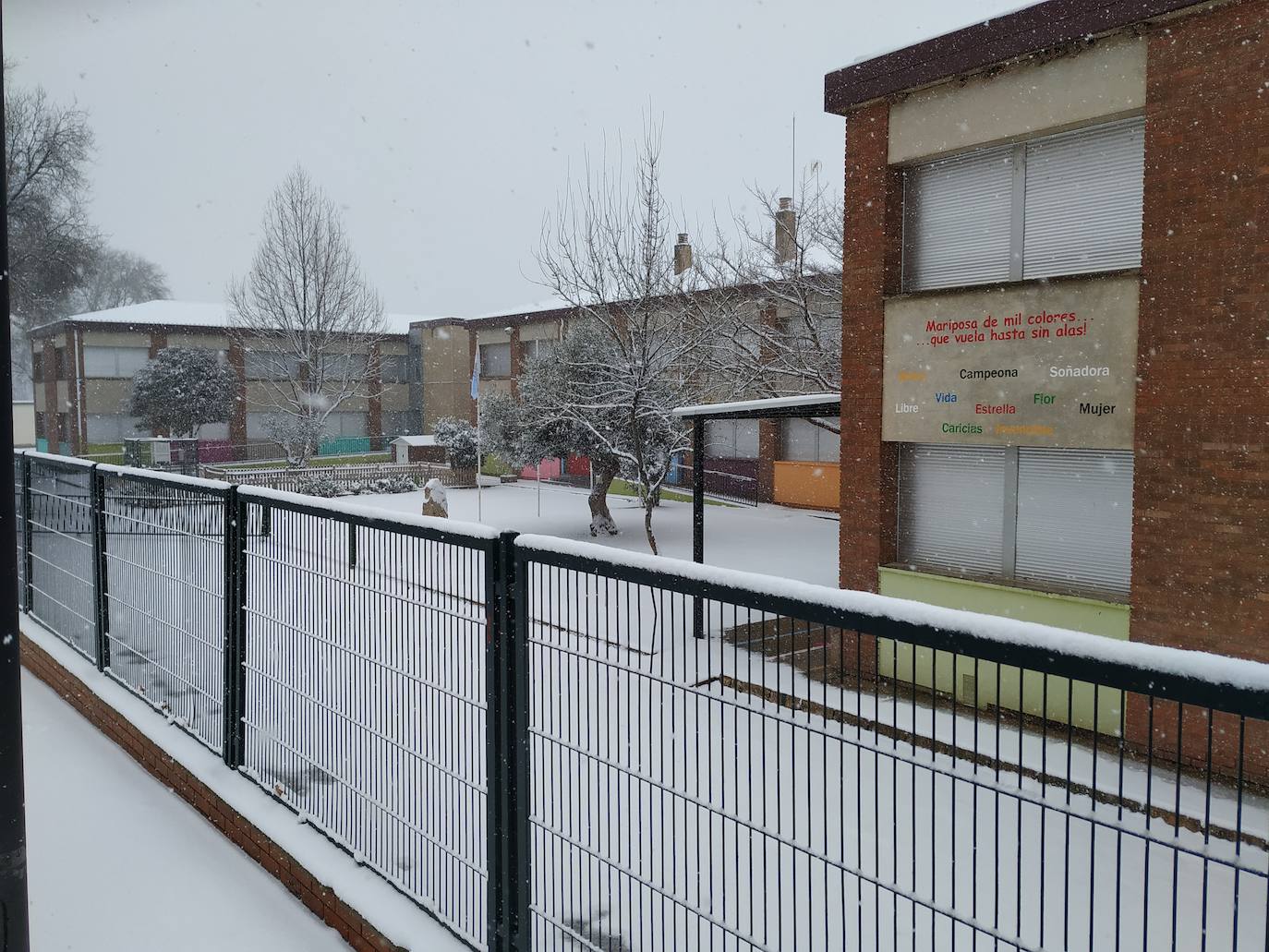 Fotos: La nieve también llega a Arnedo