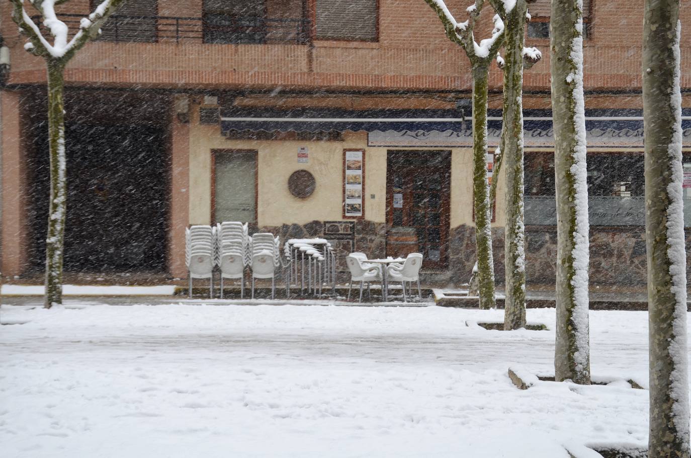 Fotos: Calahorra no se libra de Filomena