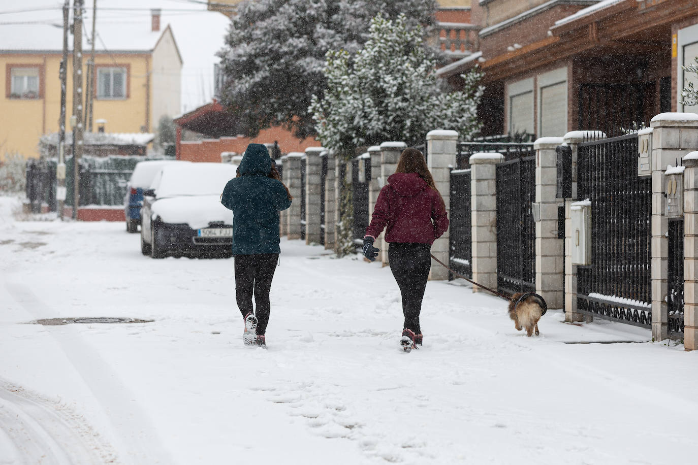 Fotos: Jornada de nieve en Uruñuela