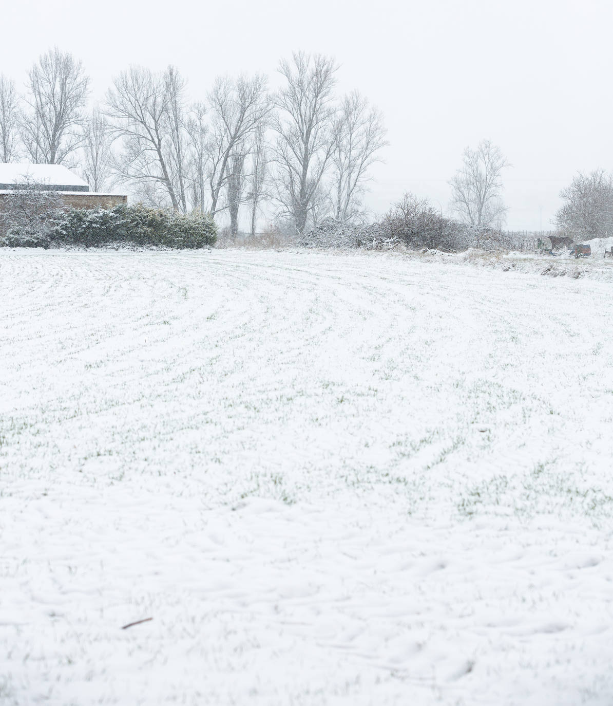 Fotos: Jornada de nieve en Uruñuela