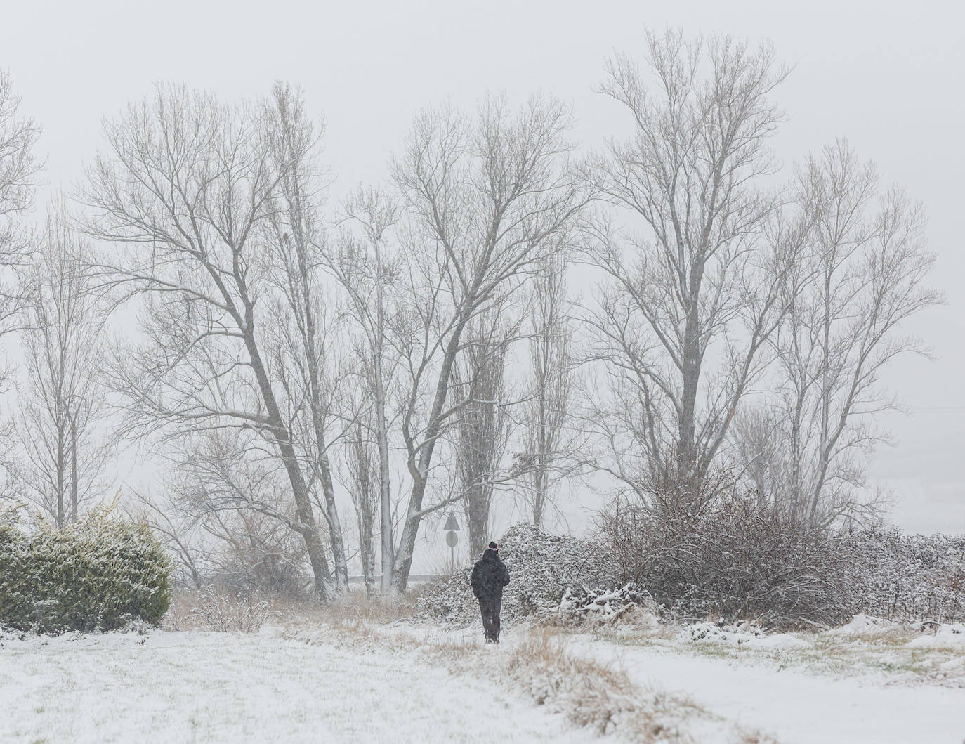 Fotos: Jornada de nieve en Uruñuela