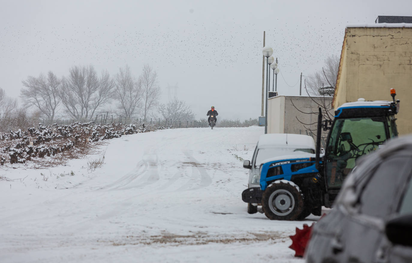 Fotos: Jornada de nieve en Uruñuela