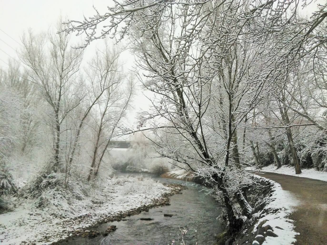Fotos: La nieve &#039;toma&#039; el parque del Iregua