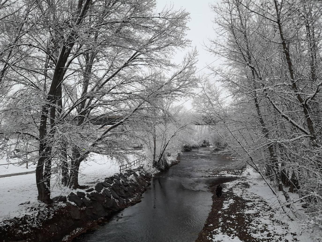 Fotos: La nieve &#039;toma&#039; el parque del Iregua