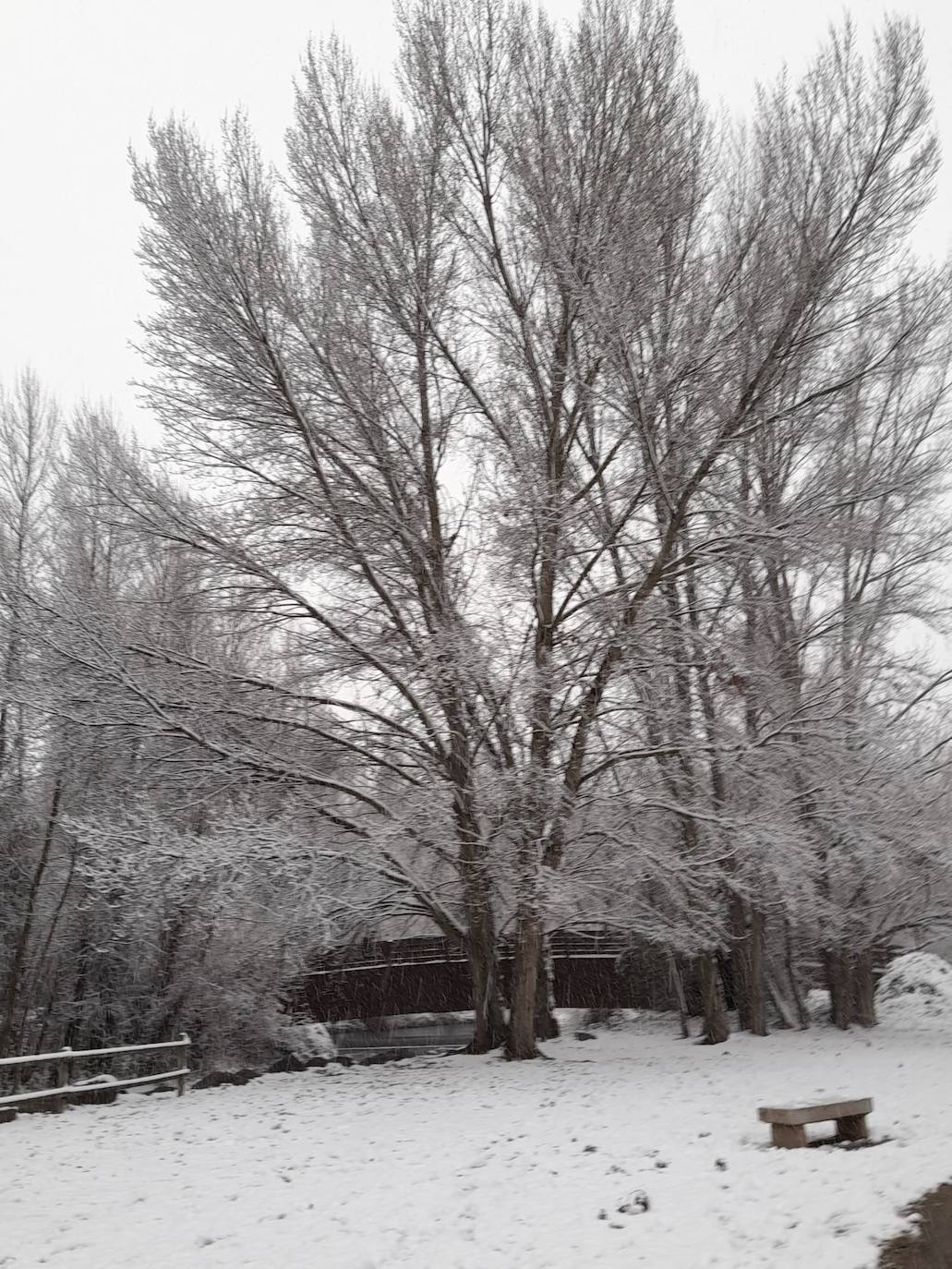 Fotos: La nieve &#039;toma&#039; el parque del Iregua