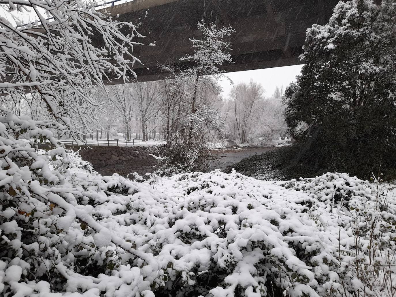Fotos: La nieve &#039;toma&#039; el parque del Iregua