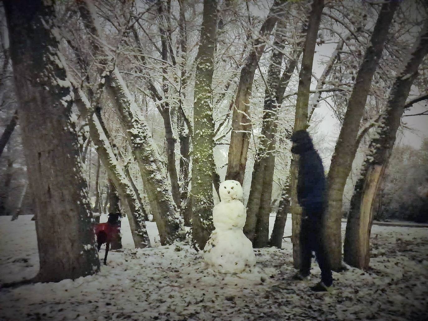 Fotos: La nieve &#039;toma&#039; el parque del Iregua