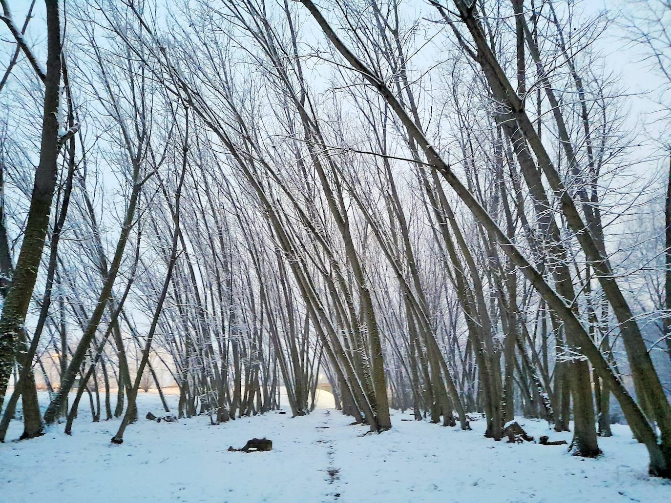 Fotos: La nieve &#039;toma&#039; el parque del Iregua