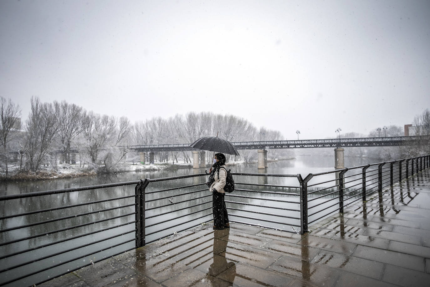 Fotos: La nieve cubre Logroño