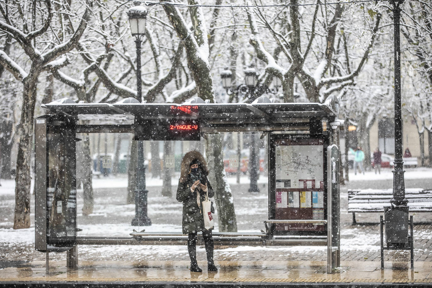 Fotos: La nieve cubre Logroño