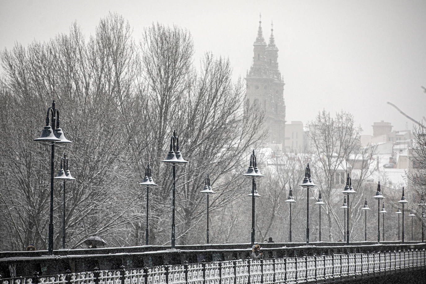 Fotos: La nieve cubre Logroño